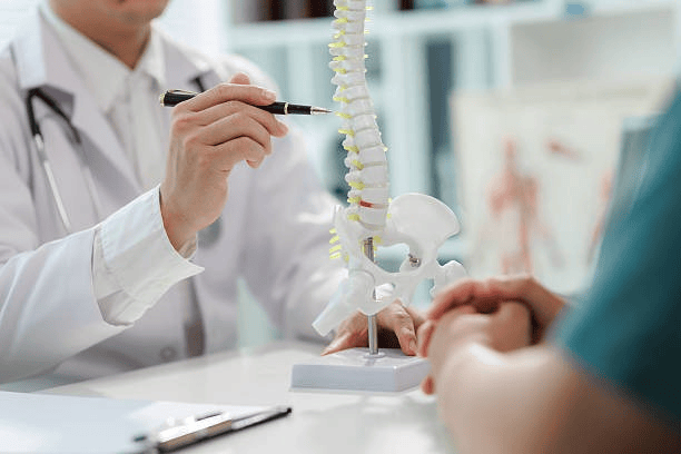 A chiropractor uses a pen to point to a model of a human spine and pelvis while explaining a diagnosis or treatment plan to a patient during a consultation.